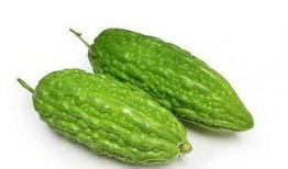 新会网红哨牙珍吃凉瓜,新会网红美食新体验